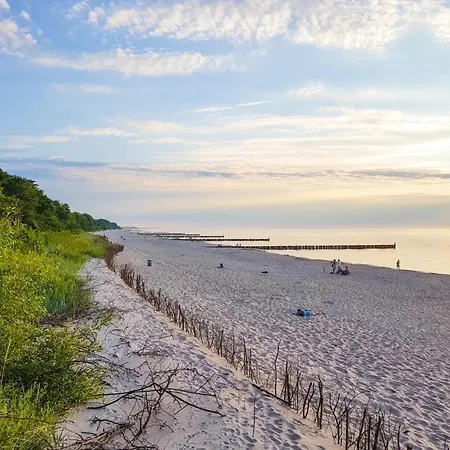 Dworek Skalar Sianozety