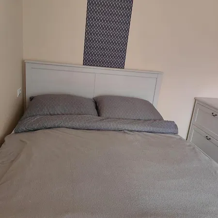 Dworek Skalar Sianożęty