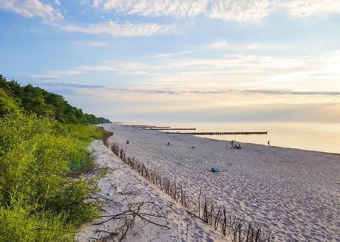 Dworek Skalar سيانوزيتي